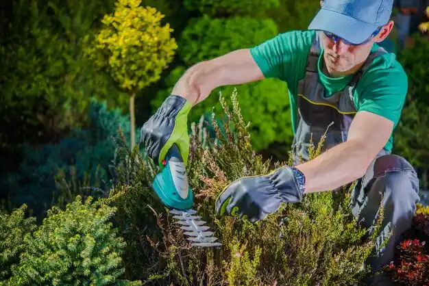 landscaping services Pigeon Creek